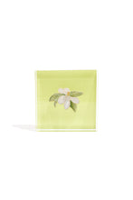 Load image into Gallery viewer, Magnolia Gift Block Kit