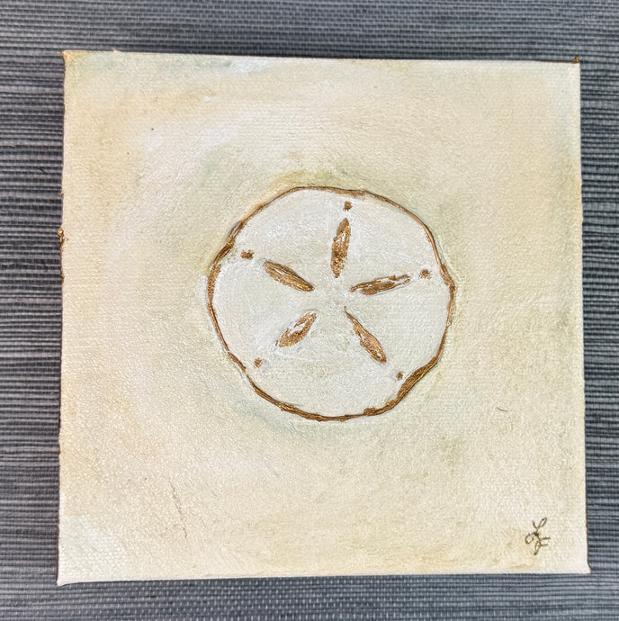 Sand Dollar I