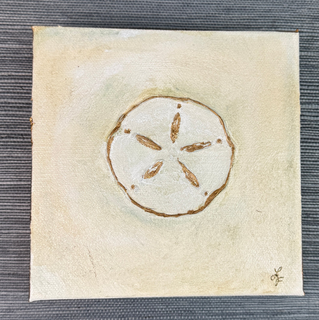 Sand Dollar I