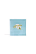 Load image into Gallery viewer, Magnolia Gift Block Kit