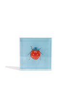 Load image into Gallery viewer, Ladybug Gift Block Kit