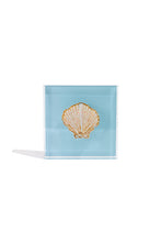 Load image into Gallery viewer, Shell Gift Block Kit