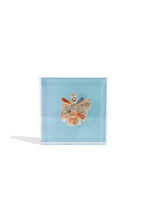 Load image into Gallery viewer, Peace Angel Gift Block Kit