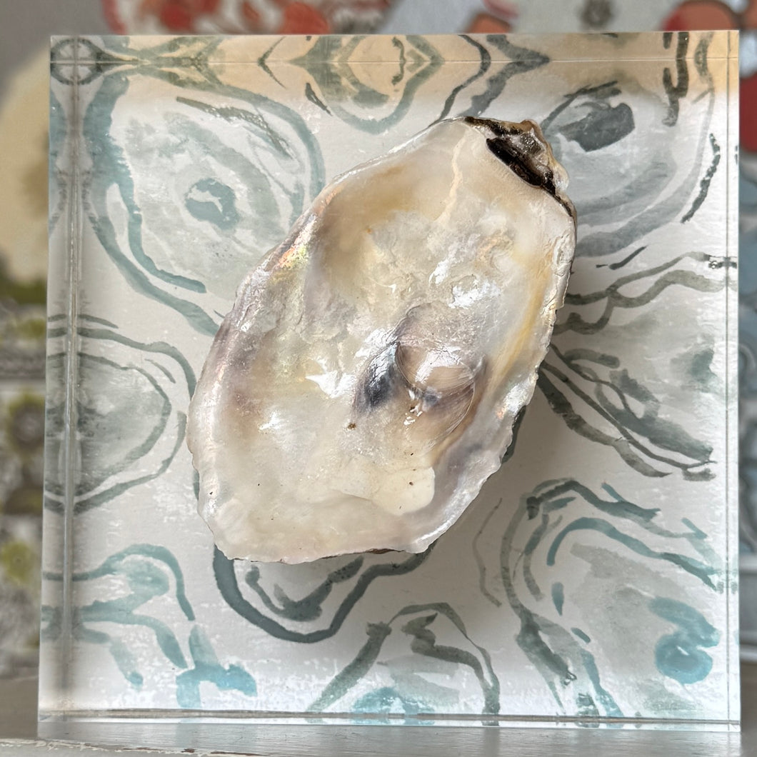 The World Is Your Oyster