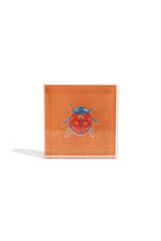 Load image into Gallery viewer, Ladybug Gift Block Kit