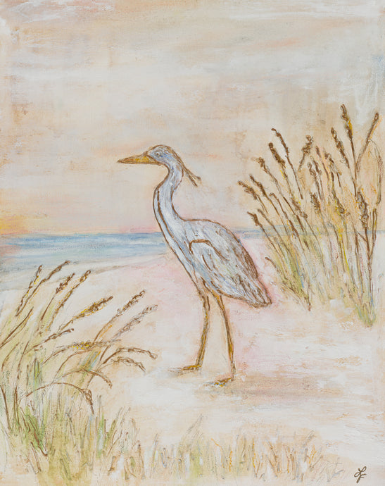 Early Bird