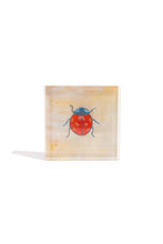 Load image into Gallery viewer, Ladybug Gift Block Kit