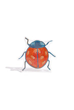 Load image into Gallery viewer, Ladybug