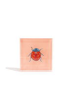 Load image into Gallery viewer, Ladybug Gift Block Kit