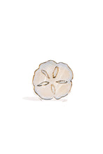 Load image into Gallery viewer, Sand Dollar