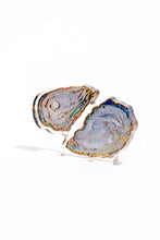 Load image into Gallery viewer, Oyster