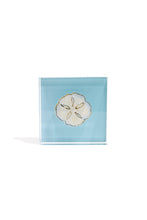 Load image into Gallery viewer, Sand Dollar Gift Block Kit