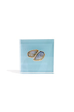 Load image into Gallery viewer, Oyster Gift Block Kit