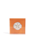 Load image into Gallery viewer, Sand Dollar Gift Block Kit
