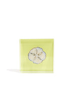 Load image into Gallery viewer, Sand Dollar Gift Block Kit
