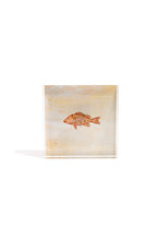 Load image into Gallery viewer, Snapper Gift Block Kit